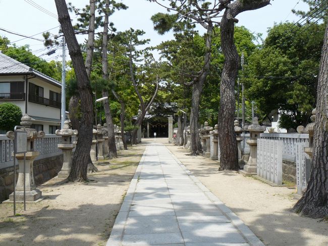 ������_��