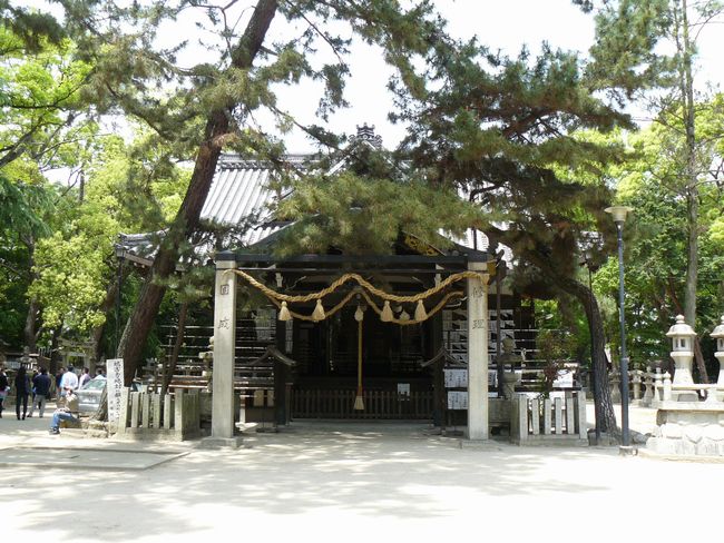 ������_��