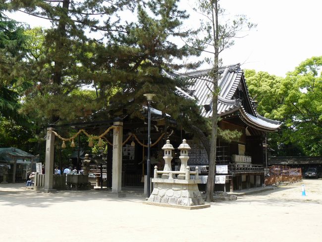 ������_��