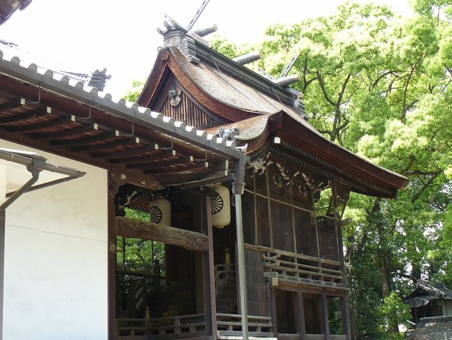 ������_��