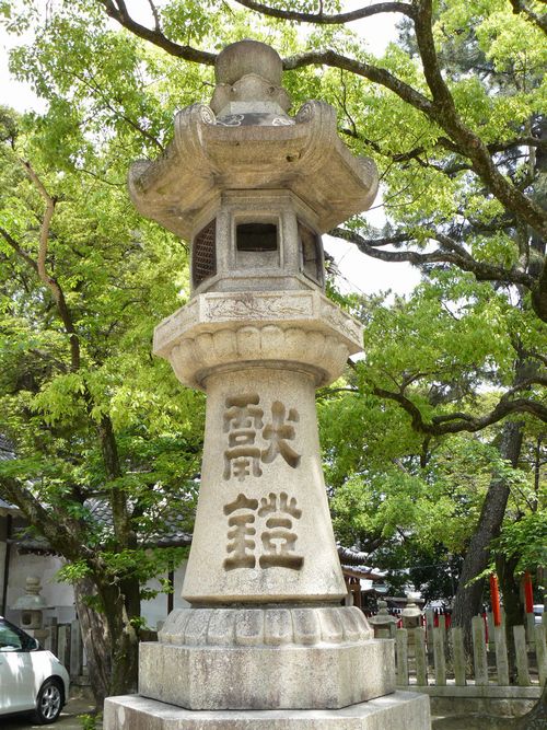 ������_��