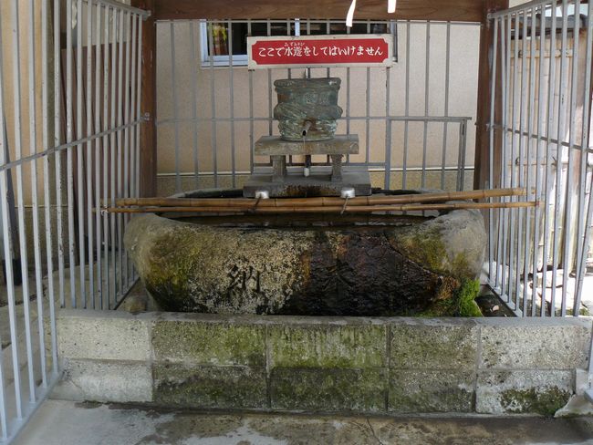 ������_��