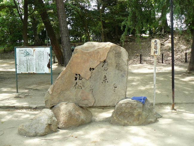 ������_��