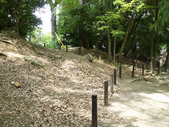 ������_��