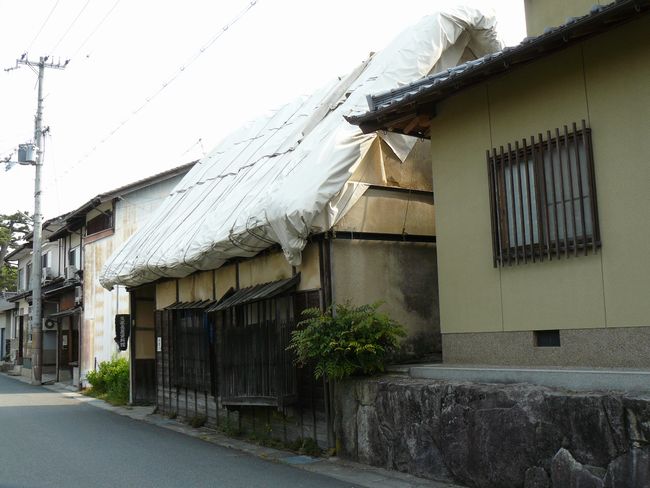 ���ƒ���