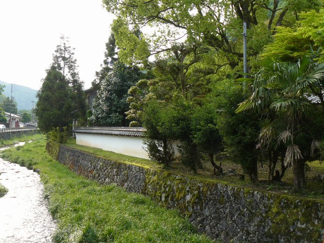 �����O�V�̐���