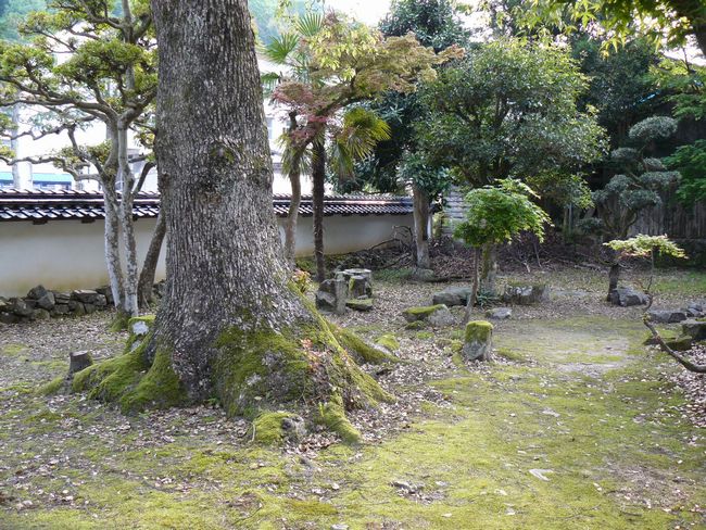 �����O�V�̐���