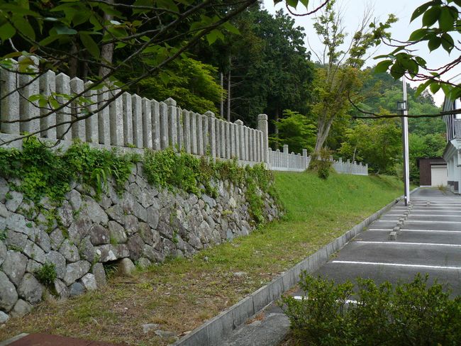 ���{�w��