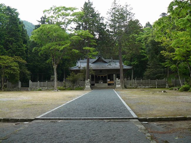 ���{�w��