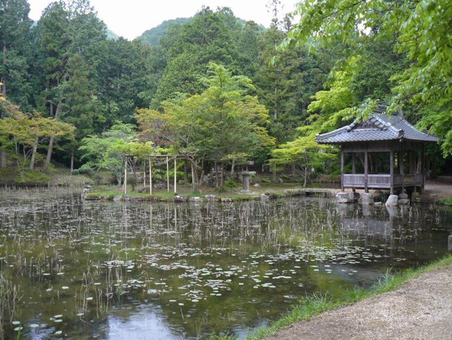 ���{�w��