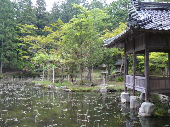 ���{�w��