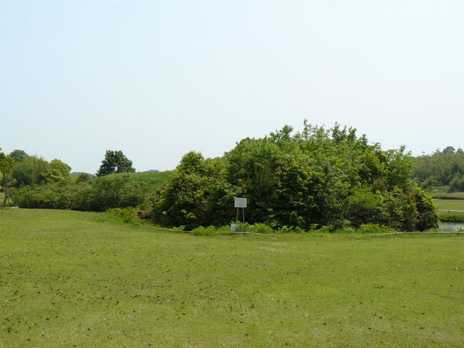 ���ˑ�P����