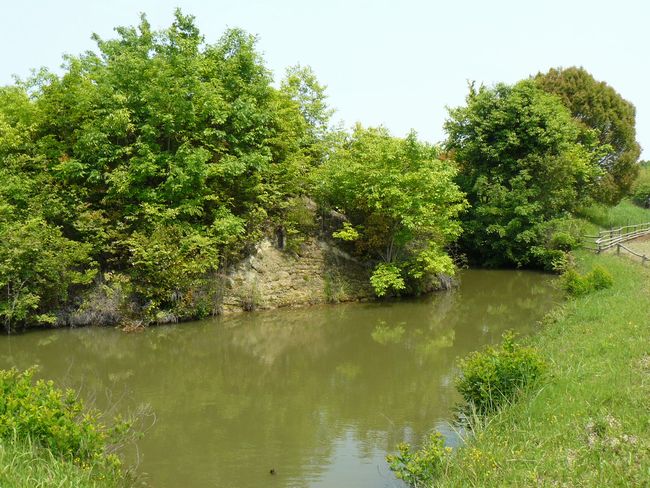 ���ˑ�P����