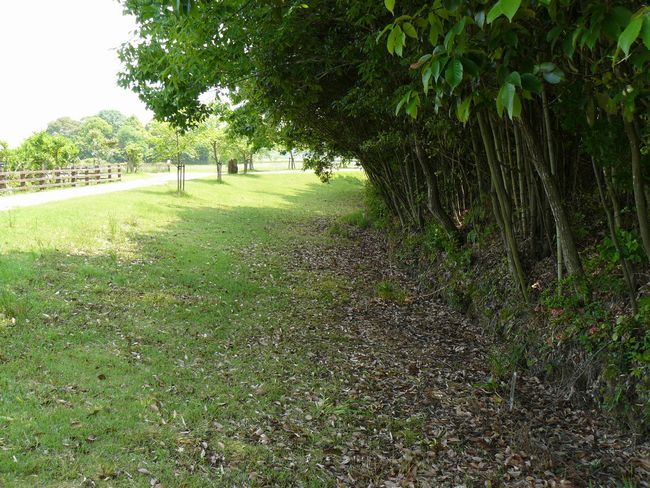 �d���R�Õ�