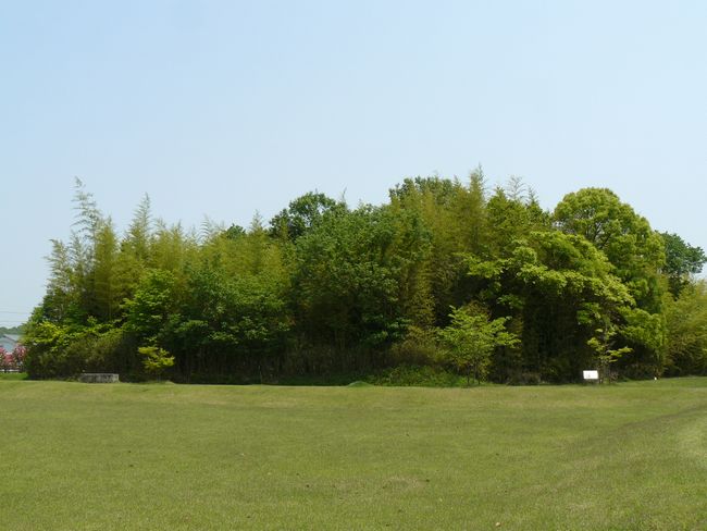 �d���R�Õ�