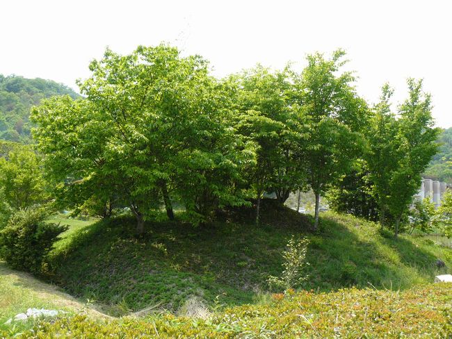 �����ˌÕ�