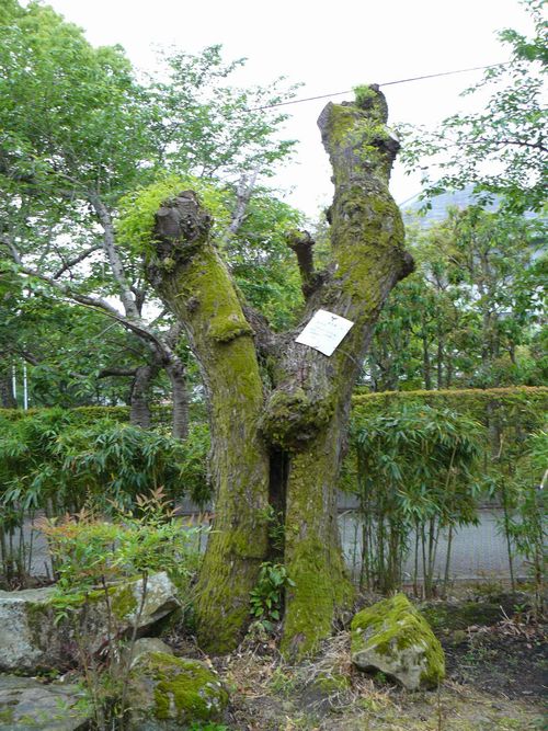 �O����א_��