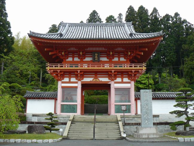 �d�B������