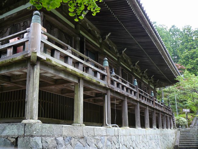 �d�B������