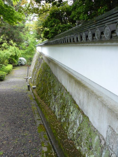 �d�B������