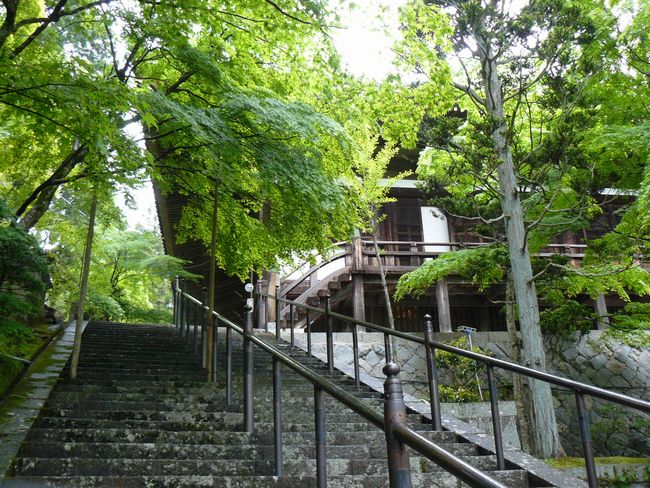 �d�B������