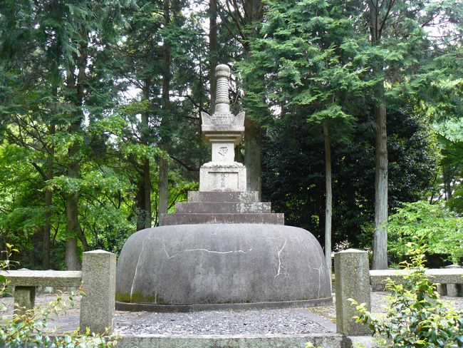 �d�B������