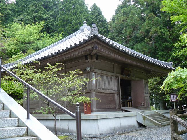 �d�B������