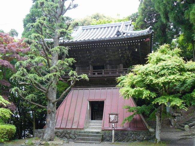 �d�B������