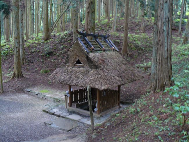 �d�B������