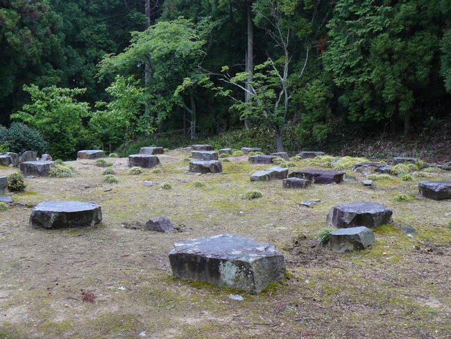 �d�B������