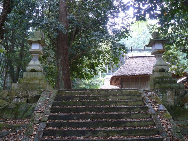 �㊛��Z�g�_��