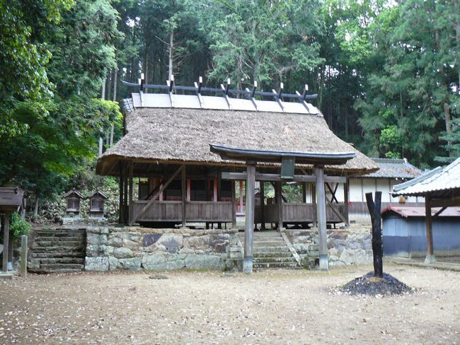 �㊛��Z�g�_��