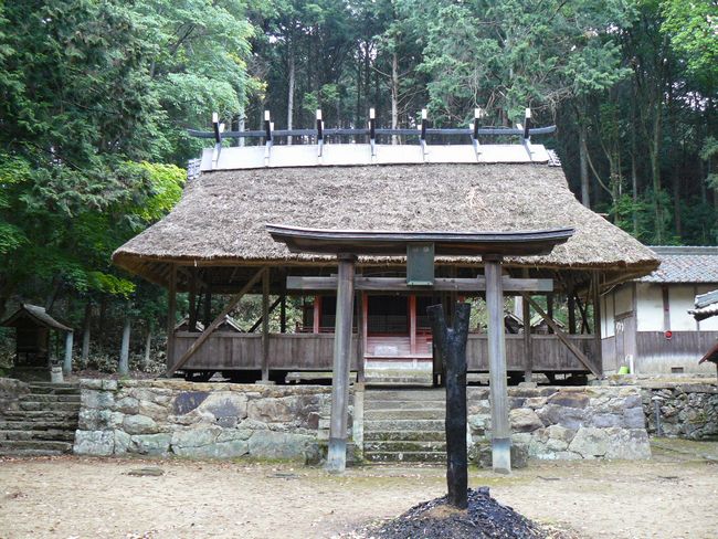 �㊛��Z�g�_��