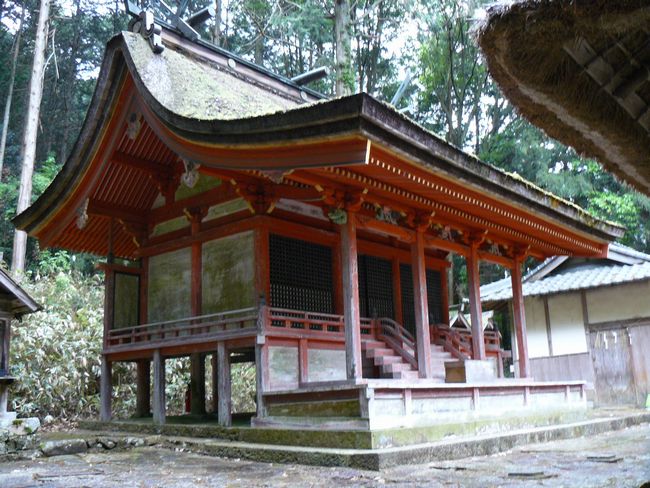 �㊛��Z�g�_��