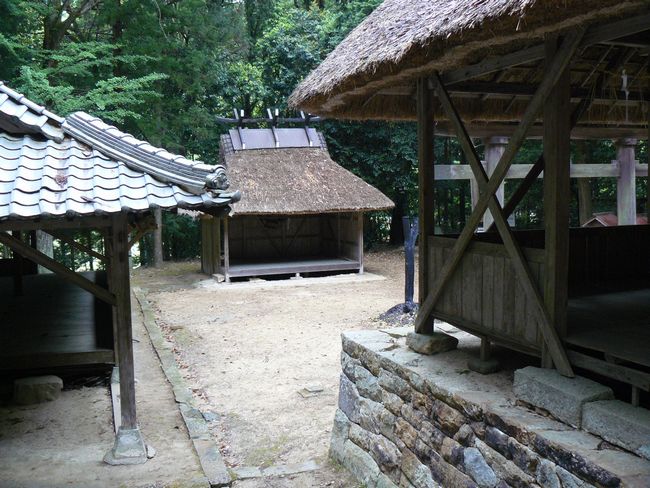 �㊛��Z�g�_��