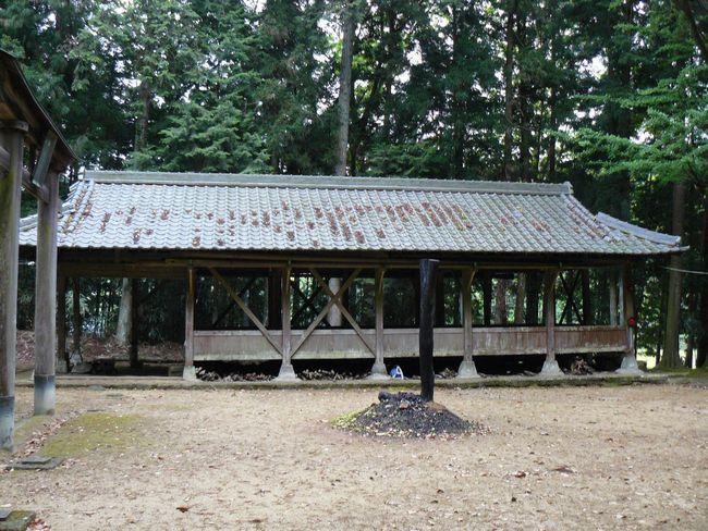 �㊛��Z�g�_��