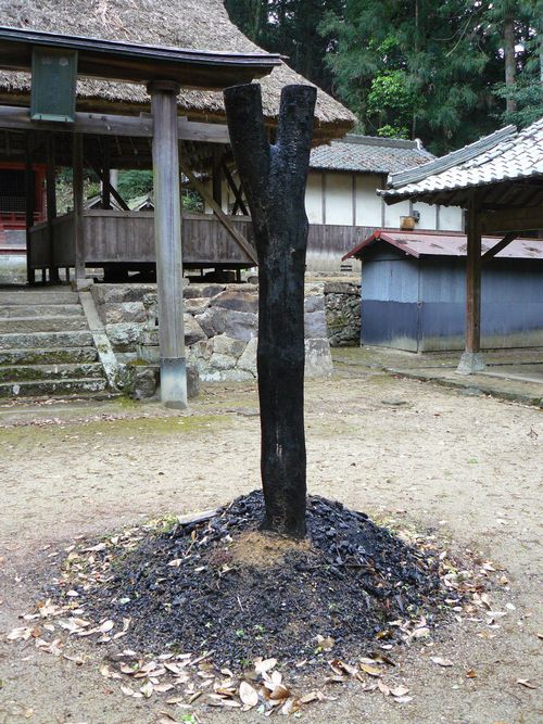 �㊛��Z�g�_��