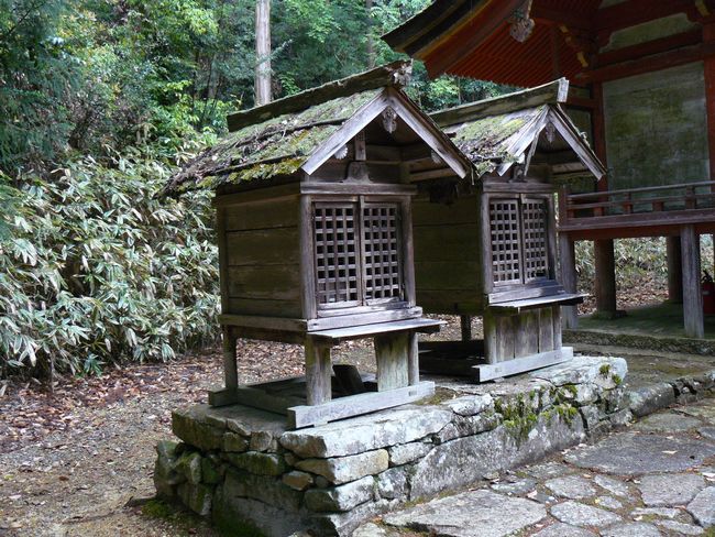 �㊛��Z�g�_��