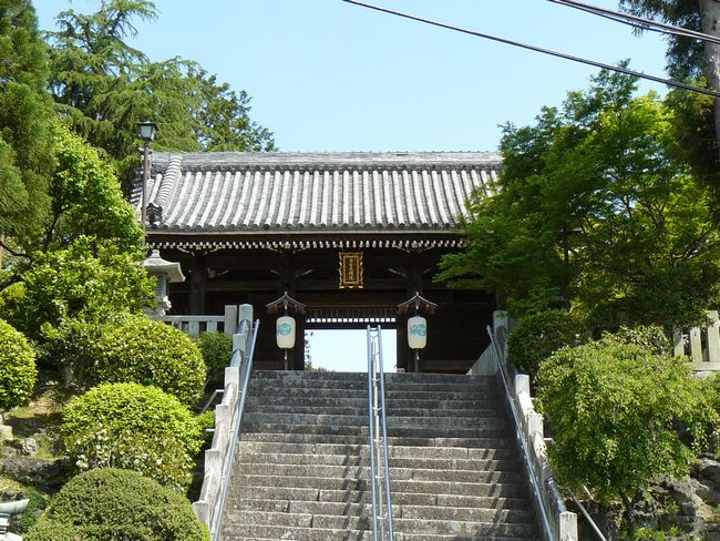 ���c�_��