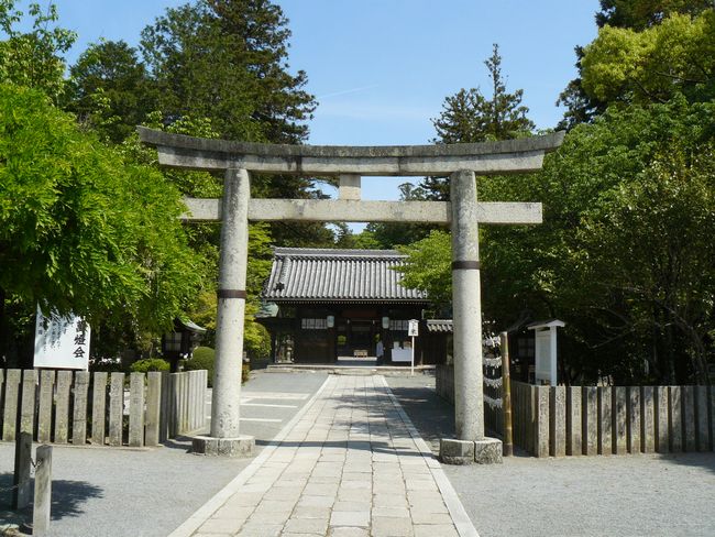 ���c�_��