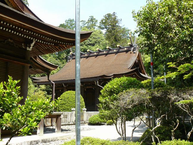 ���c�_��