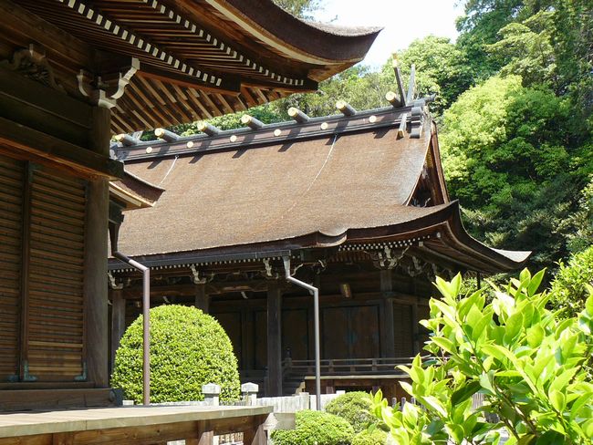 ���c�_��