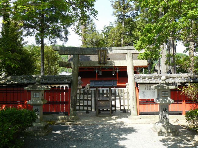 ���c�_��