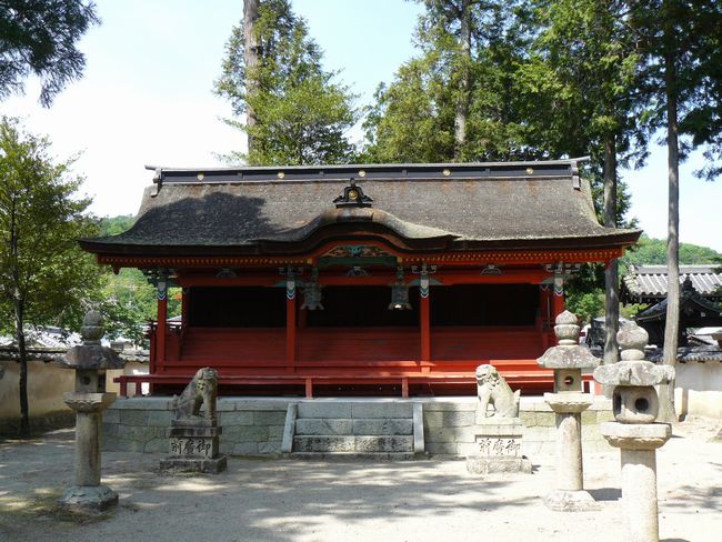 ���c�_��