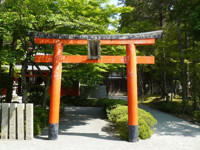 ���c�_��