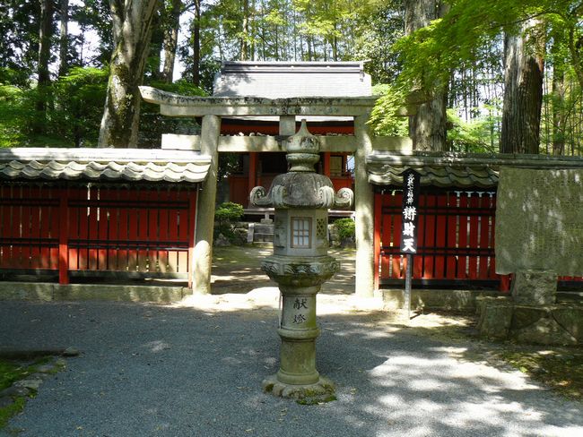 ���c�_��