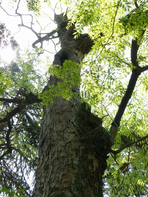 ���c�_��