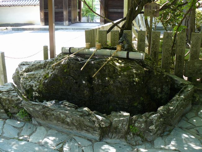 ���c�_��