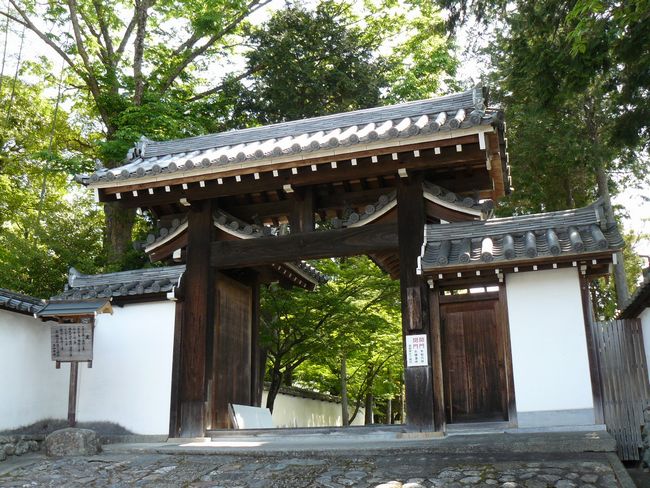 ���c�_��