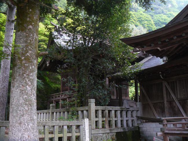 �l���_��